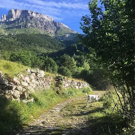 La Tua Casa In Centro