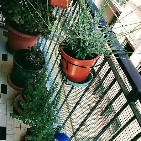 La Tua Casa In Centro Apartment Imperia